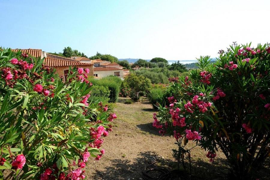 Ahr Altura Porto Rafael Hotel 4*