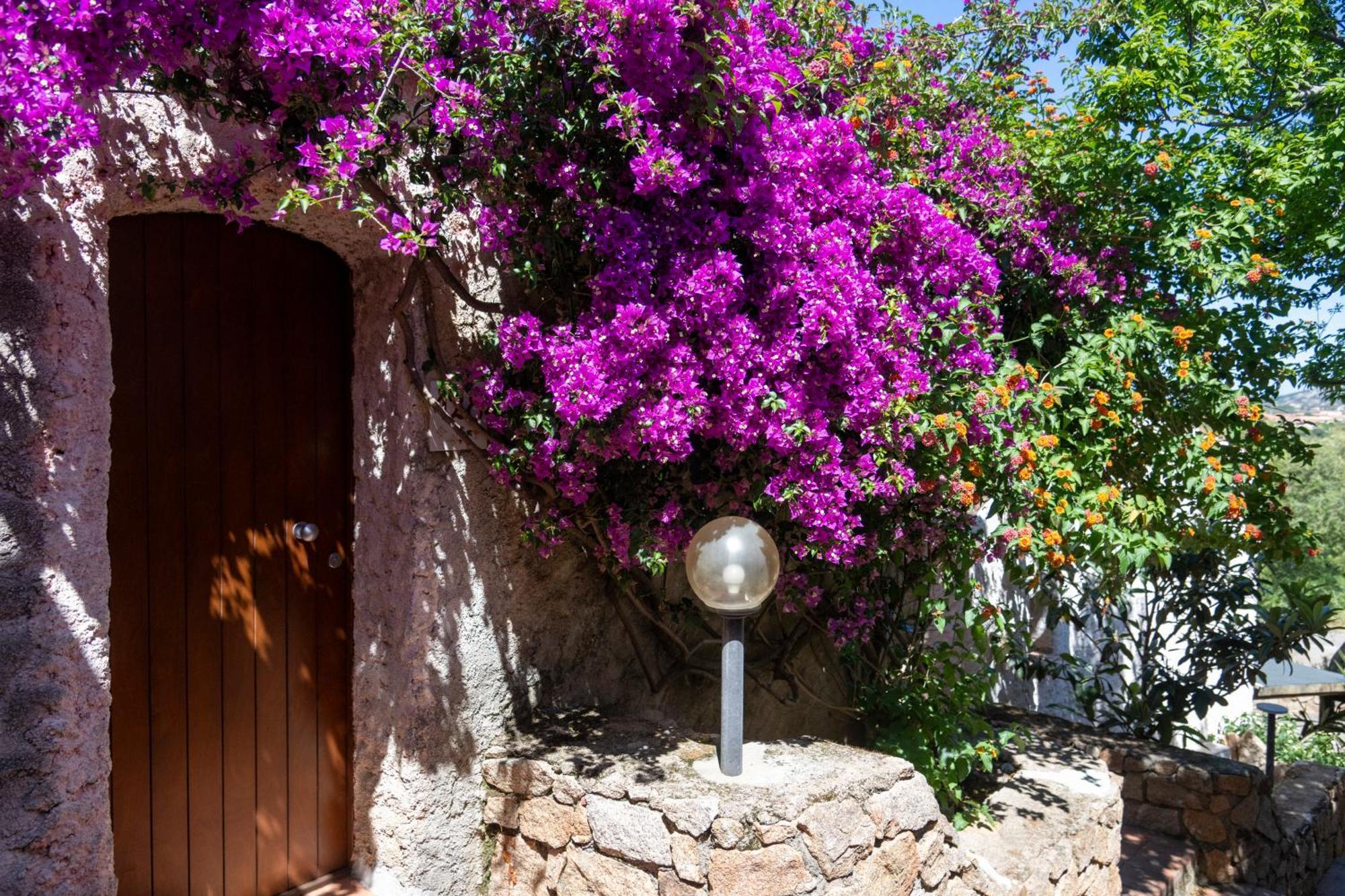 Hotel Ahr Altura Porto Rafael Palau