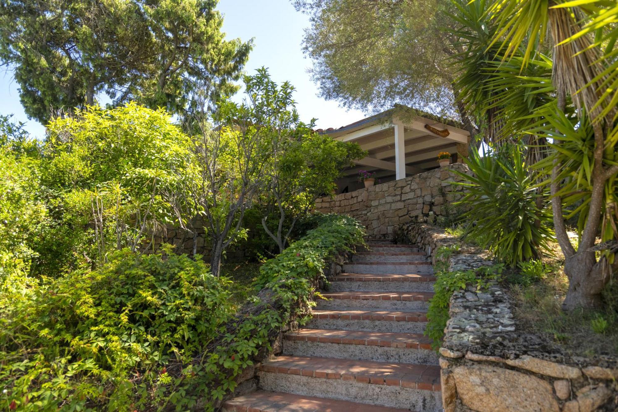 Ahr Altura Porto Rafael Palau